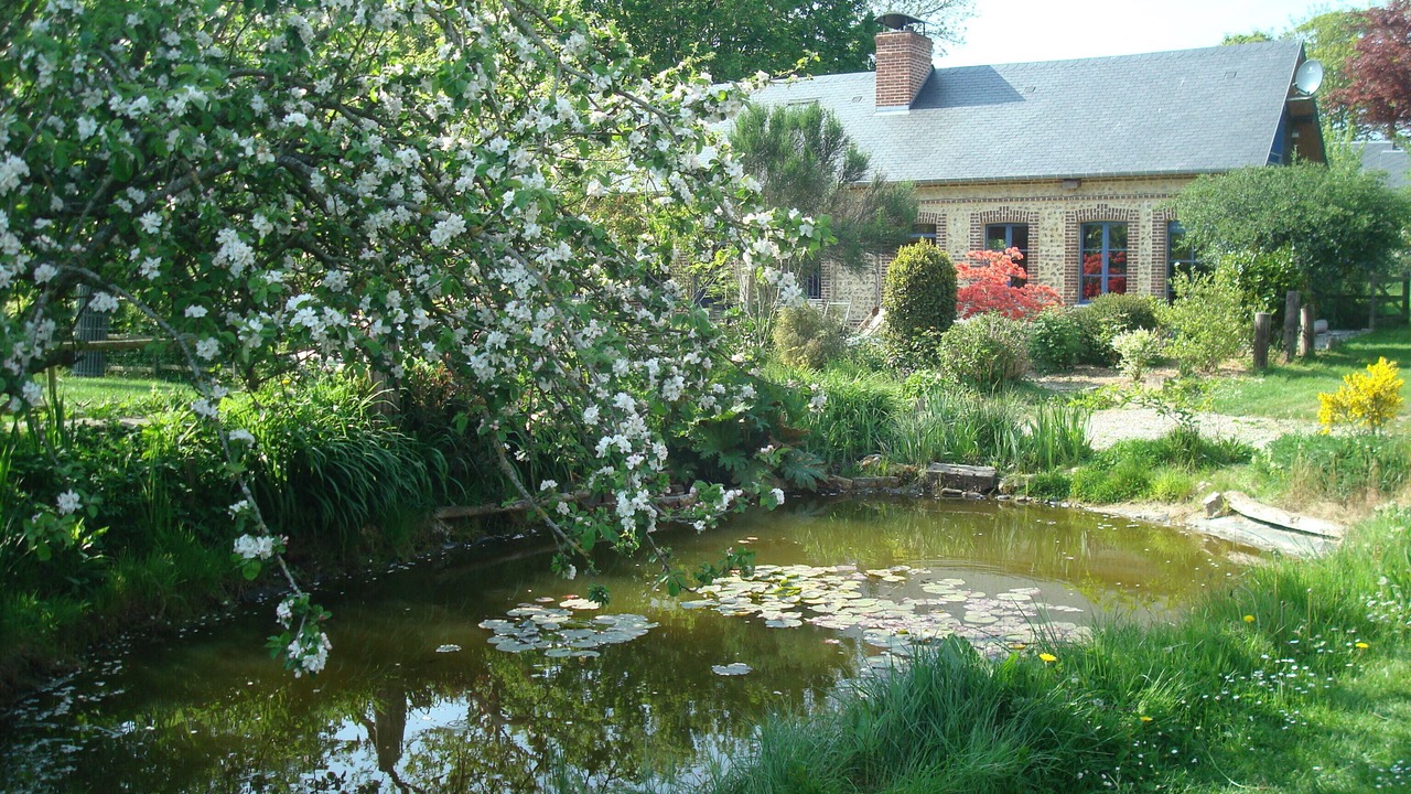 Photo of Outdoor in Bordeaux-Saint-Clair