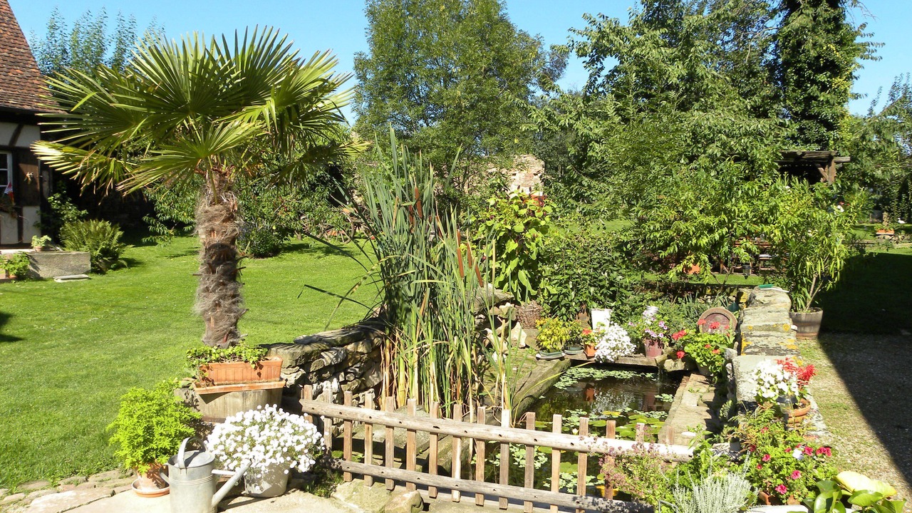 Photo of Outdoor in Rangen