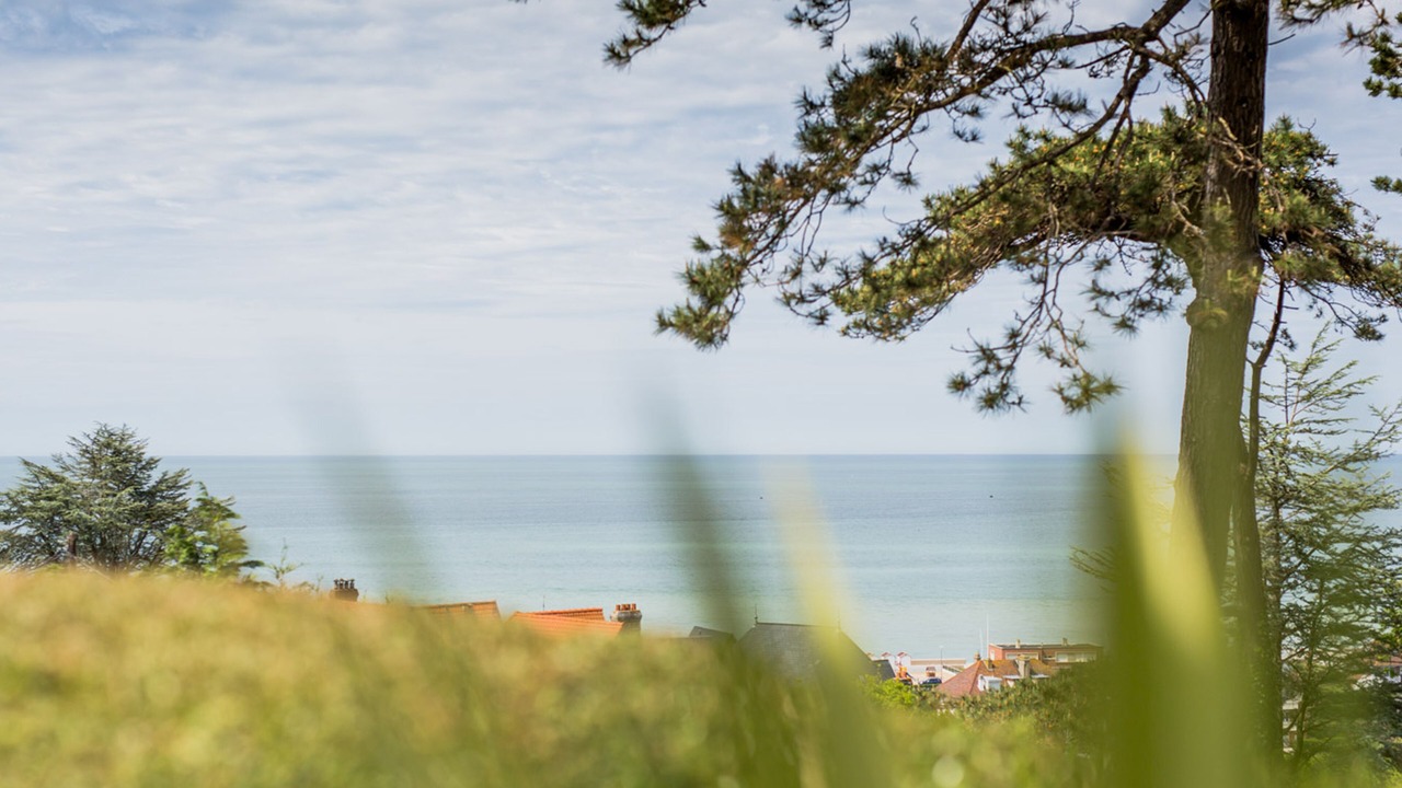Photo of Others in Hautot-sur-Mer