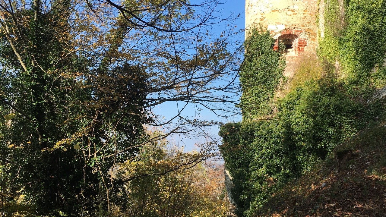 Photo of Outdoor in Ferrette