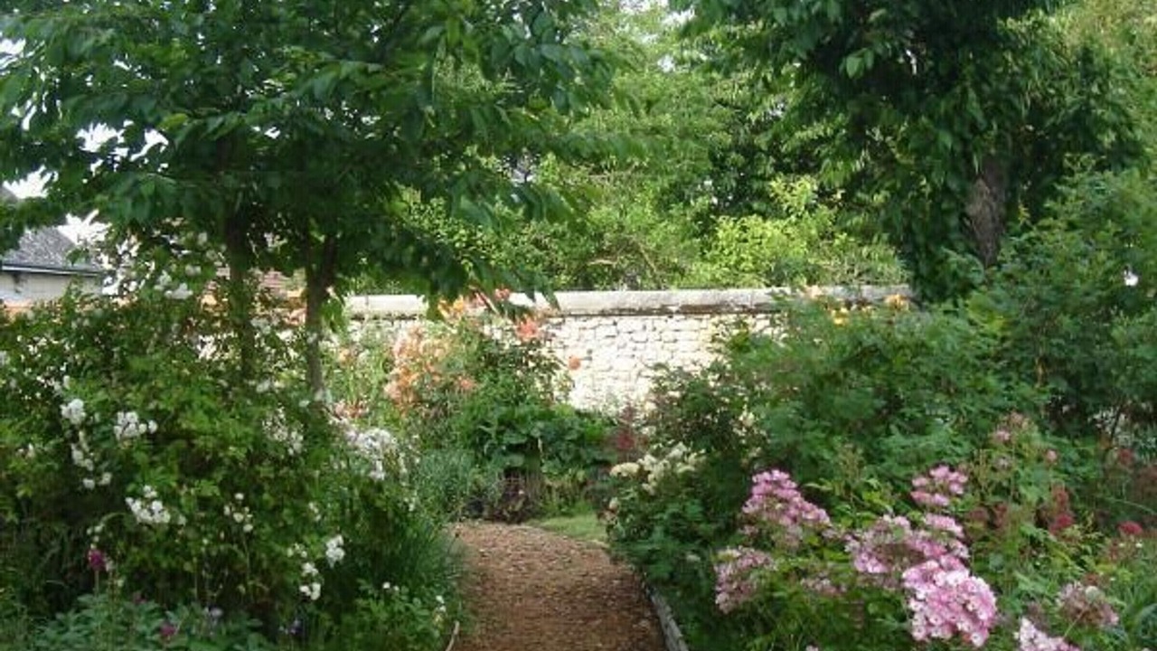 Photo of Outdoor in Pithiviers-le-Vieil