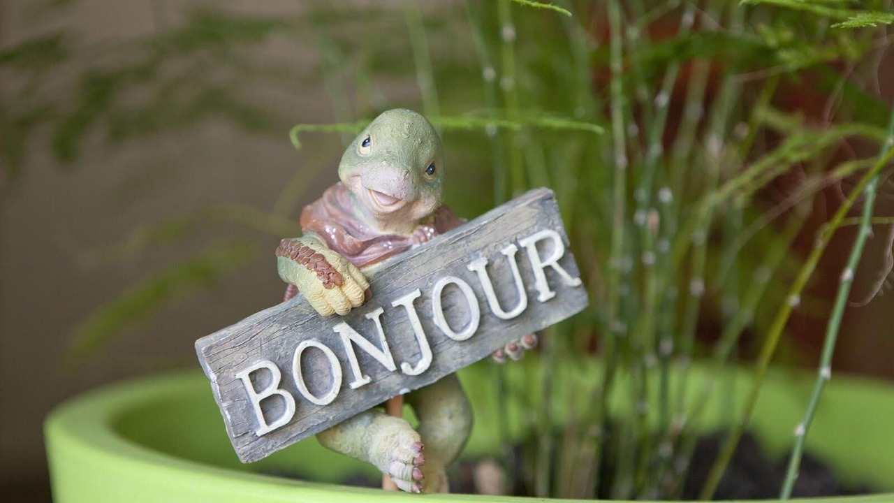 Photo of Others in Belleville-sur-Loire