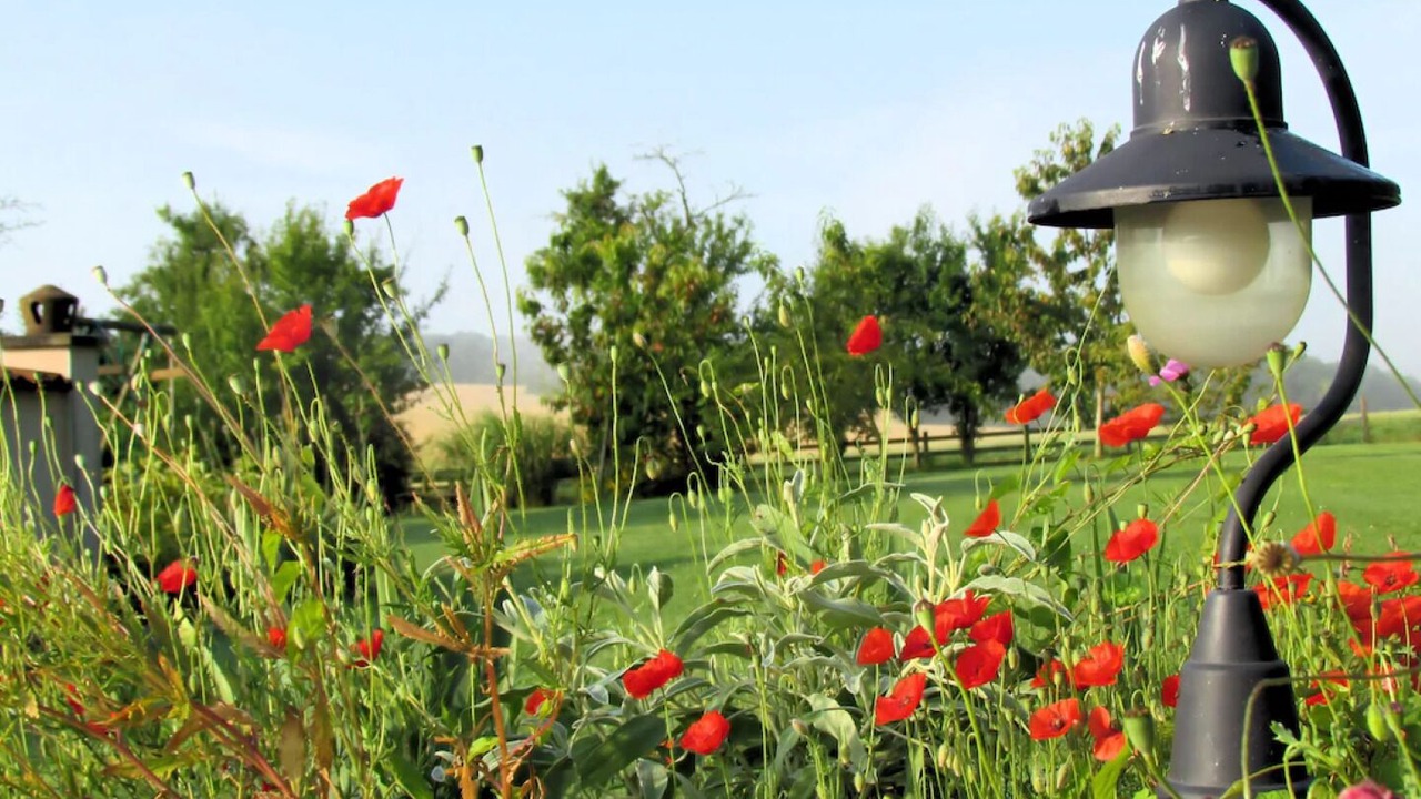 Photo of Outdoor in Eclance