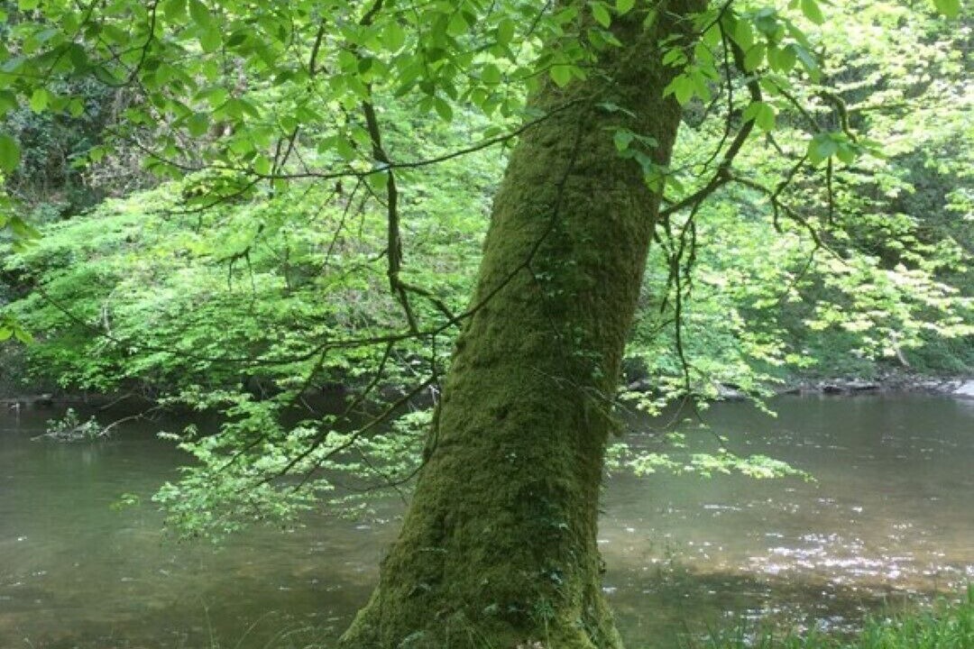 Photo of Outdoor in Saint-Vaury