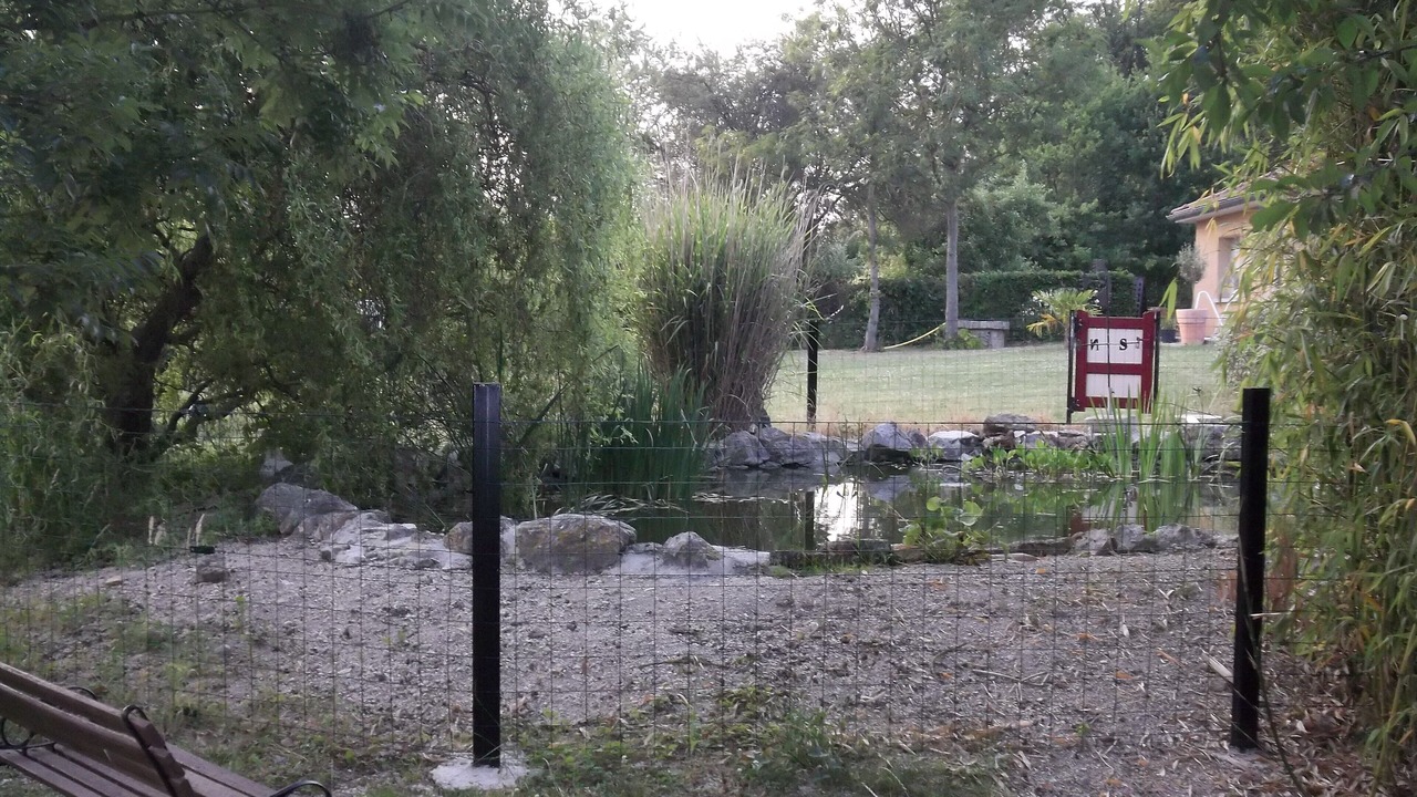 Photo of Outdoor in Chatillon-sur-Broue