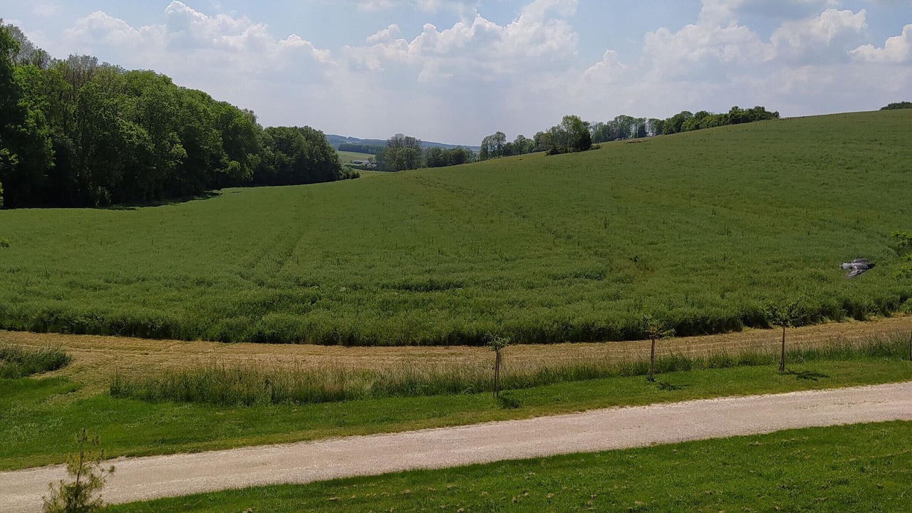 Photo of Others in Germonville