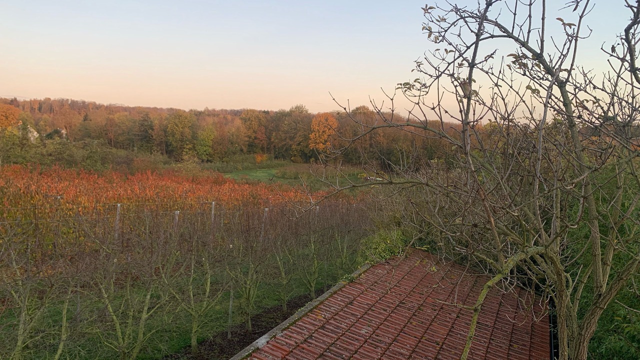 Photo of Outdoor in Saint-Brice-sous-Foret