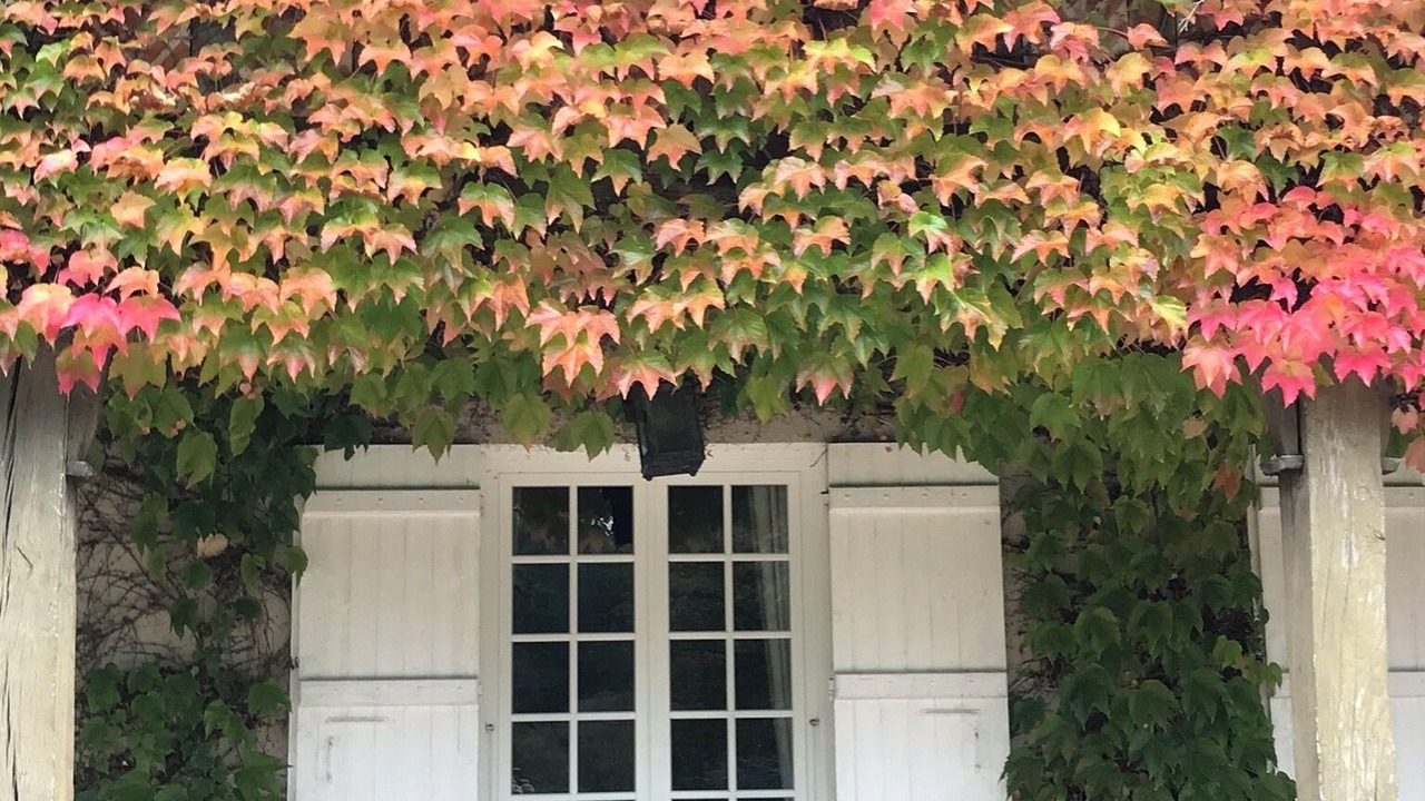 Photo of Outdoor in Les Haudeaux