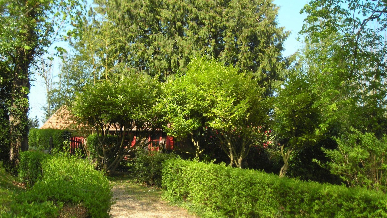 Photo of Outdoor in Sainte-Marguerite-sur-Mer