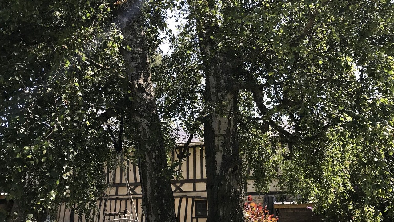 Photo of Outdoor in Saint-Martin-aux-Buneaux