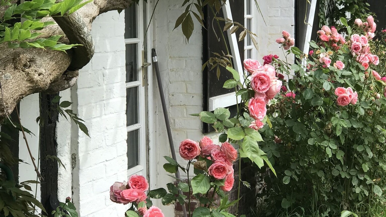 Photo of Outdoor in Saint-Martin-aux-Buneaux