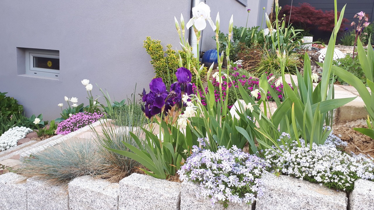 Photo of Outdoor in Berstett