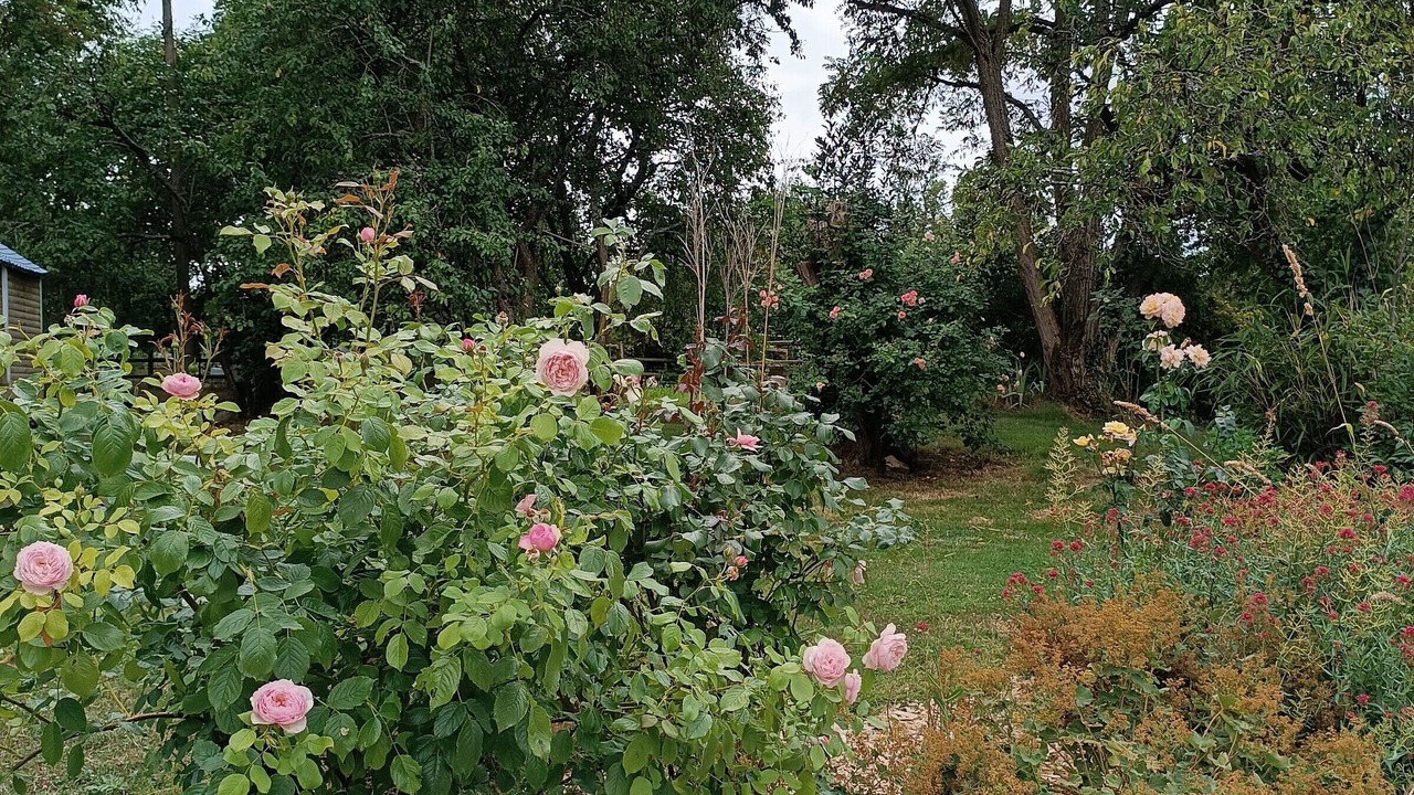 Photo of Outdoor in Arconnay