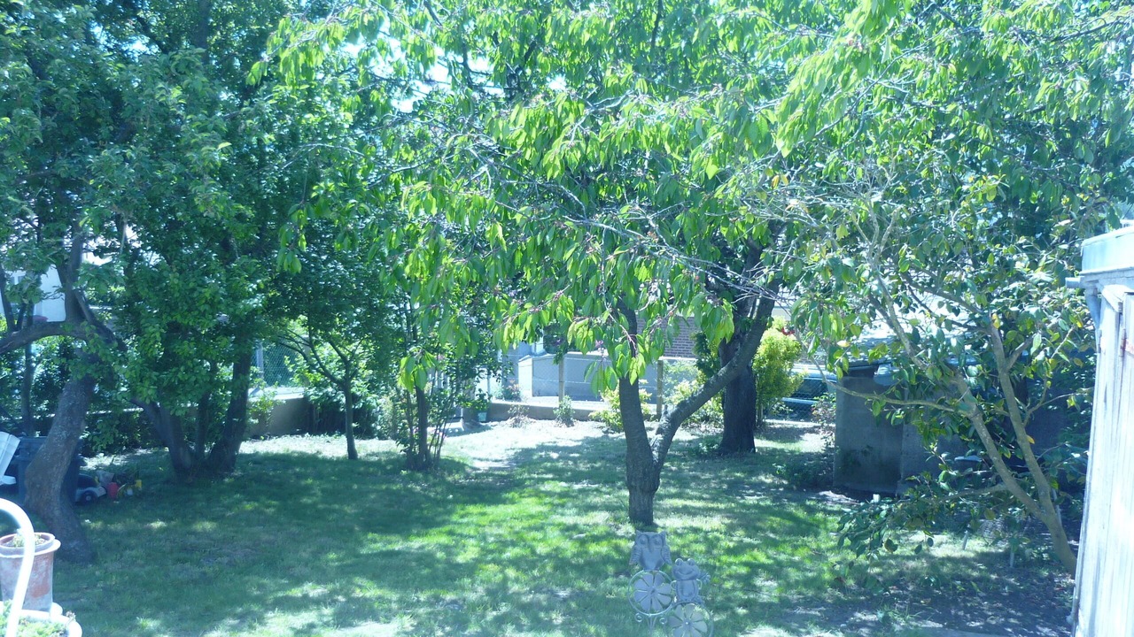 Photo of Outdoor in Mers-les-Bains