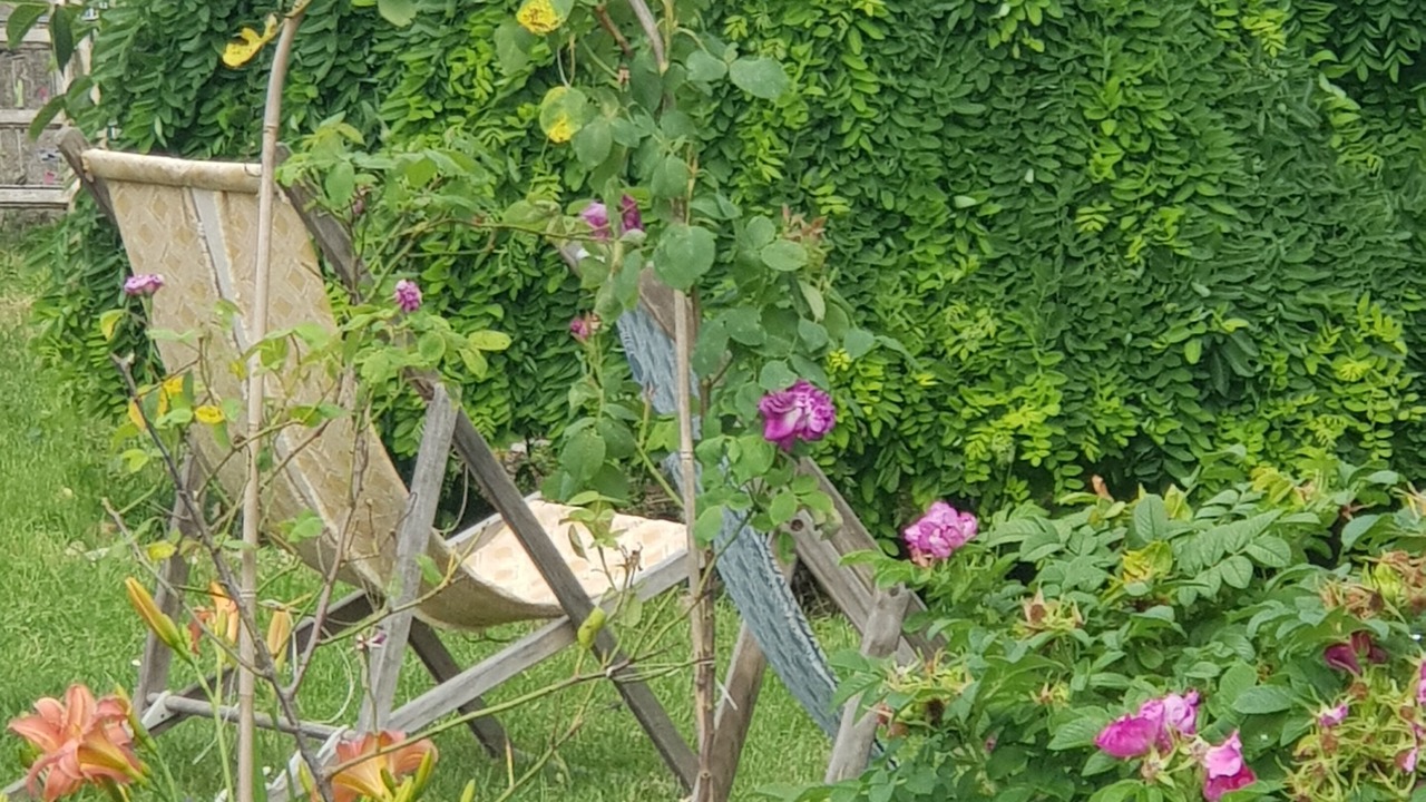Photo of Outdoor in Donnemain-Saint-Mames
