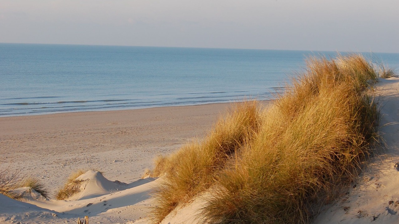 Photo of Others in Merlimont-Plage