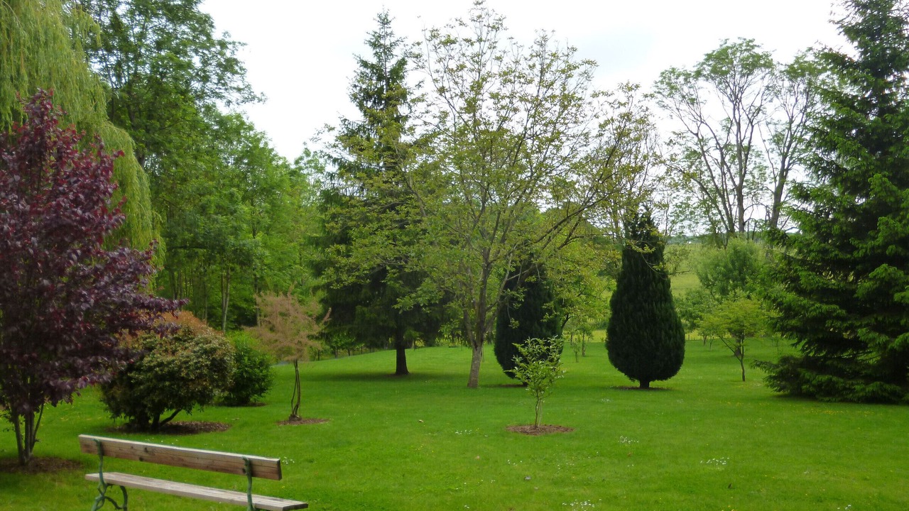 Photo of Outdoor in Coulans-sur-Gee