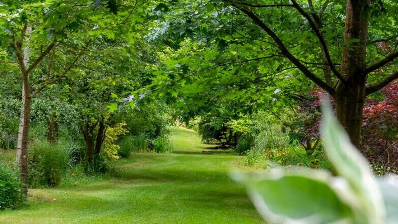 Photo of Outdoor in Asnieres sur Vegre
