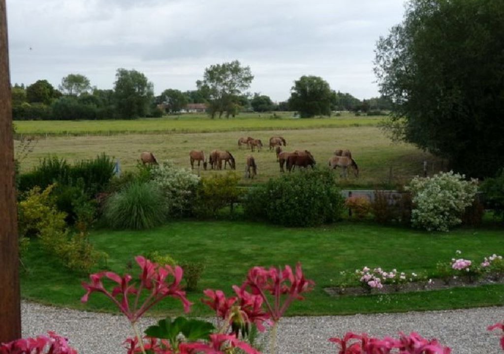 Photo of Outdoor in Saint-Quentin-en-Tourmont