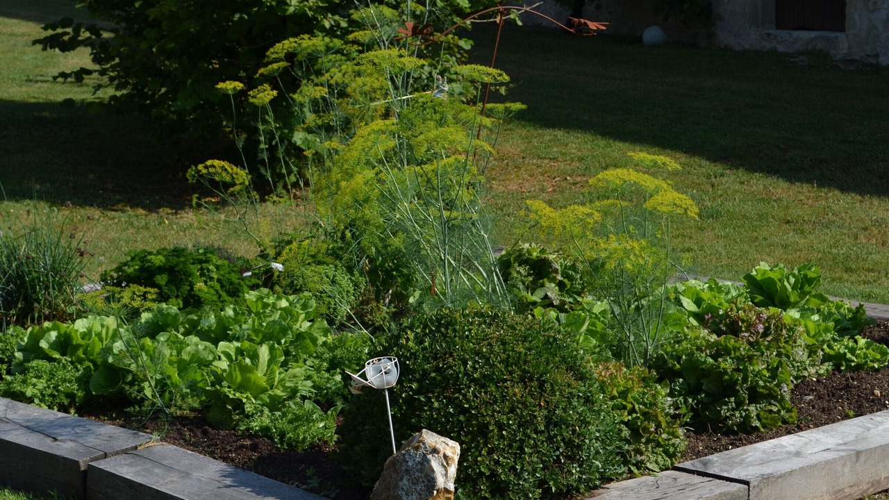 Photo of Outdoor in Chalais