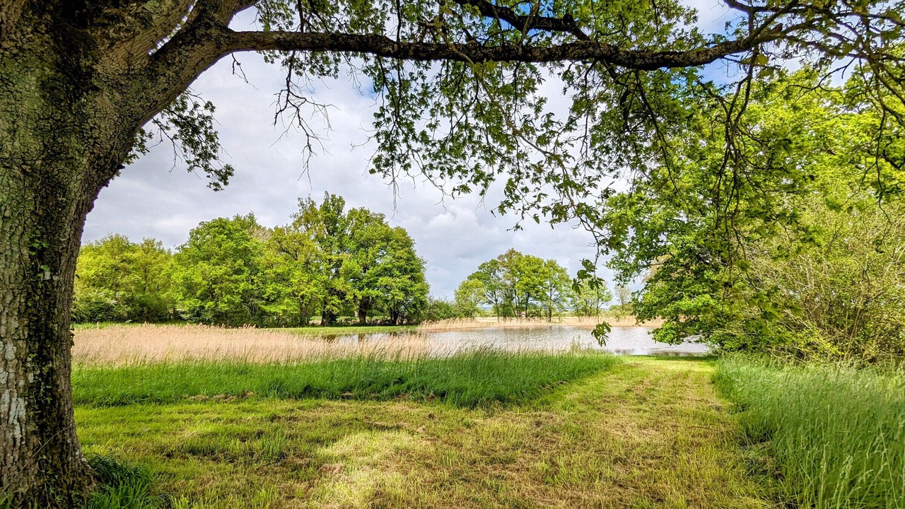 Photo of Outdoor in Saulnay