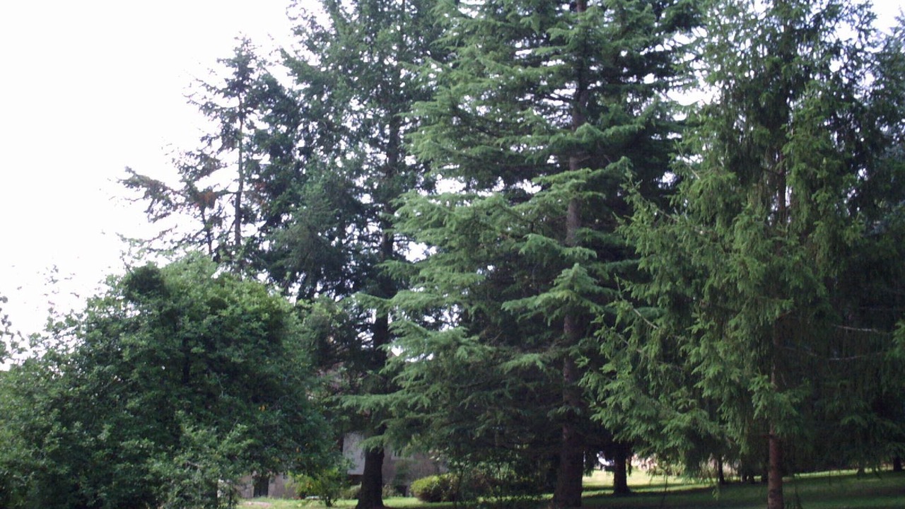 Photo of Outdoor in Saint-Hilaire-sur-Benaize