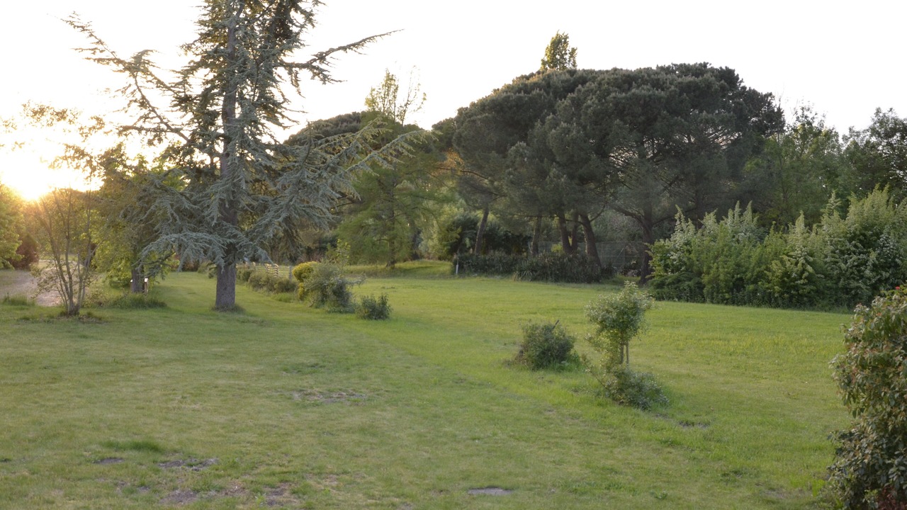 Photo of Outdoor in Durtal