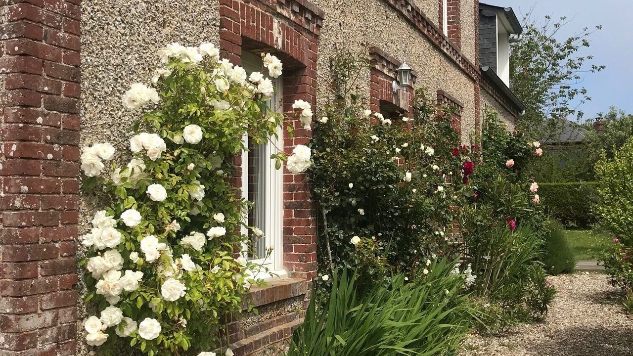 Photo of Outdoor in Saint-Pierre-en-Port