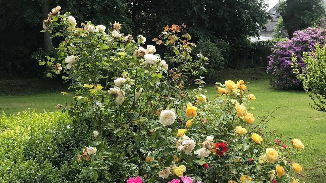 Photo of Outdoor in Saint-Pierre-en-Port
