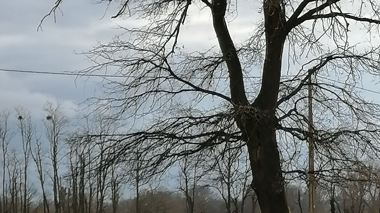 Photo of Outdoor in Vaux
