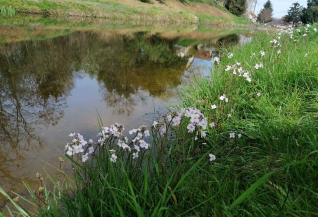 Photo of Outdoor in Vaux
