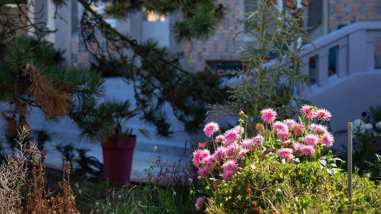 Photo of Outdoor in Cayeux-sur-Mer