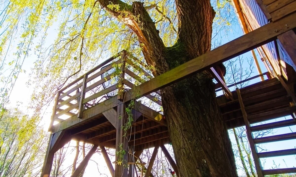 Photo of Outdoor in Thierache Sambre et Oise