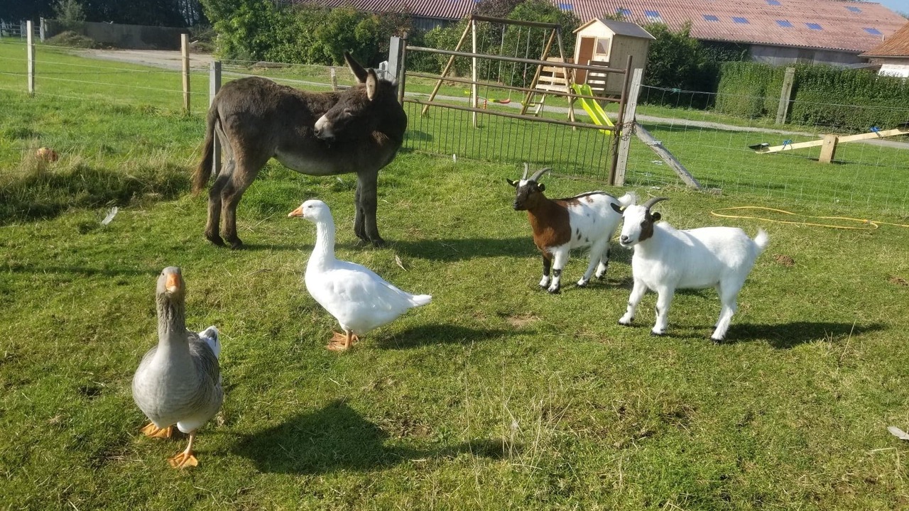 Photo of Others in Lacres
