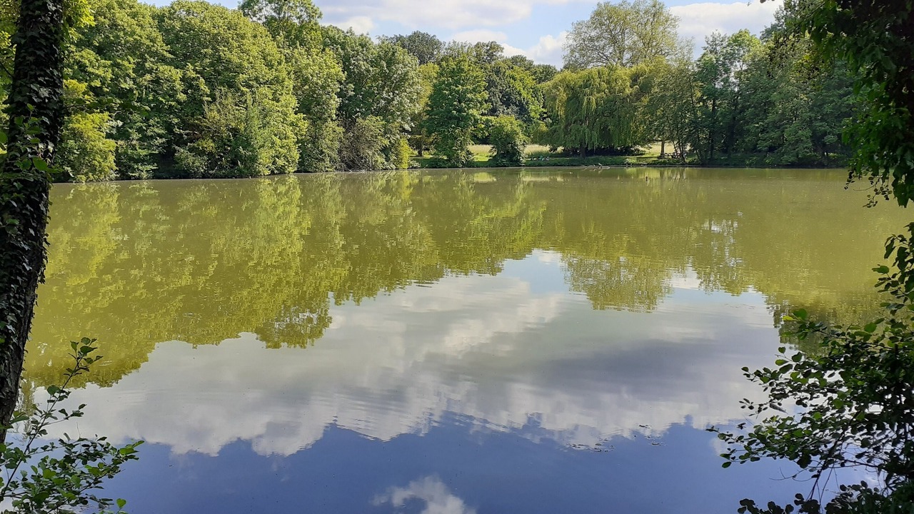 Photo of Outdoor in Fontenay-les-Briis