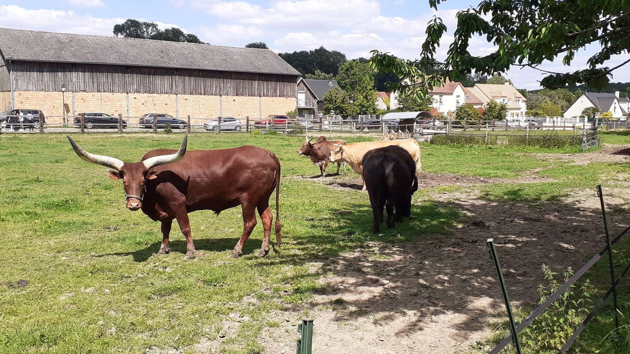 Photo of Outdoor in Fontenay-les-Briis