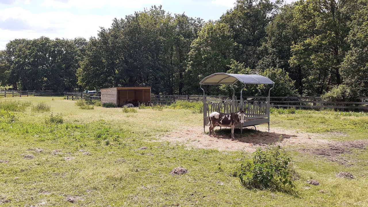 Photo of Outdoor in Fontenay-les-Briis