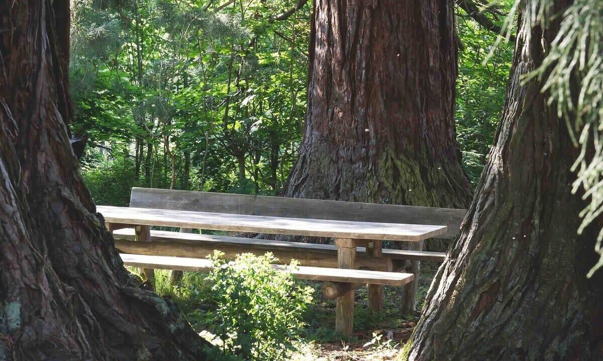 Photo of Outdoor in Guebwiller