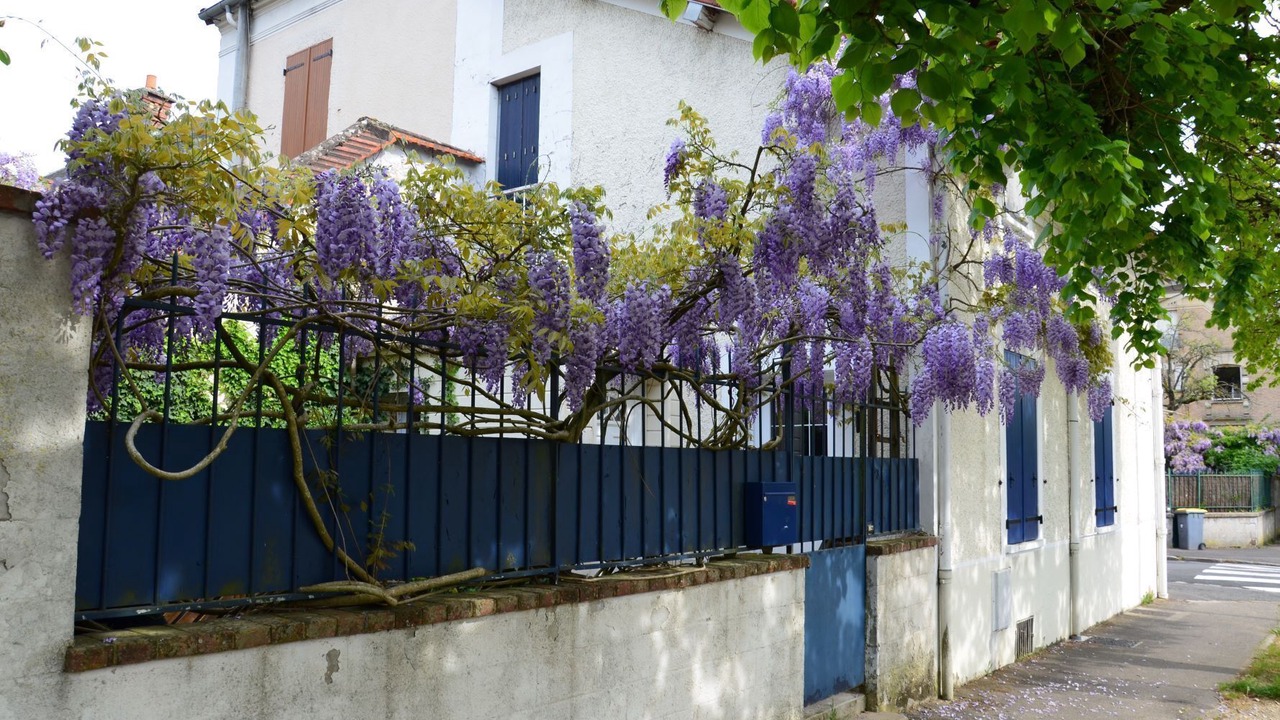 Photo of Outdoor in Fontainebleau
