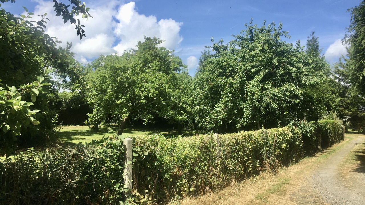 Photo of Outdoor in Montsecret-Clairefougere