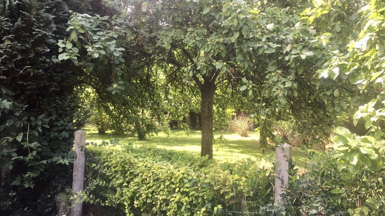Photo of Outdoor in Montsecret-Clairefougere