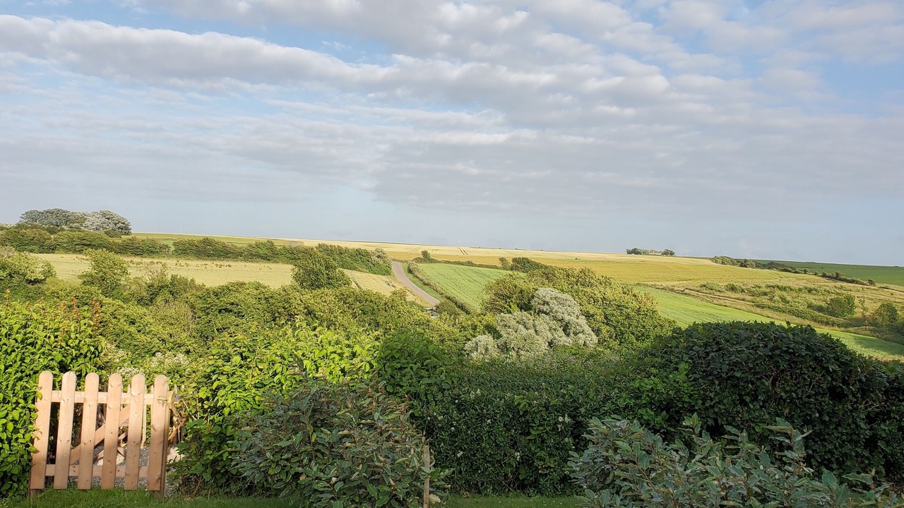 Photo of Outdoor in Audinghen