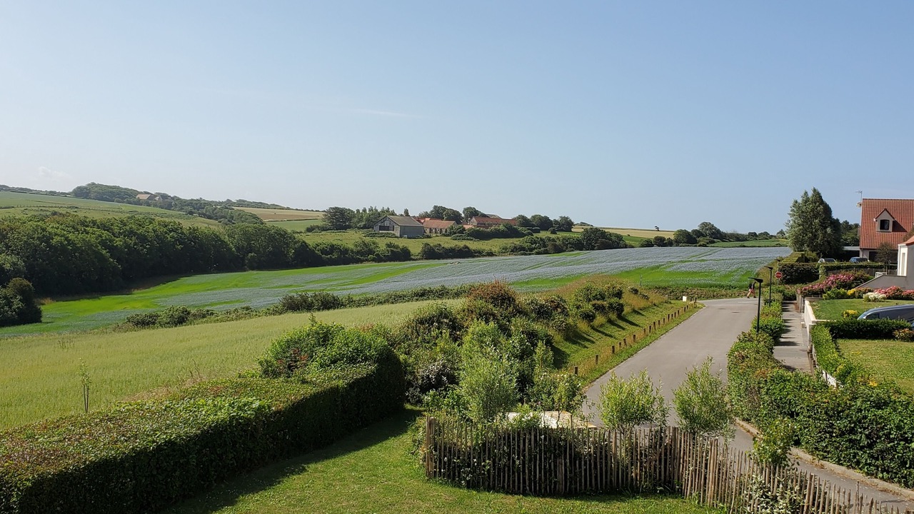 Photo of Outdoor in Audinghen