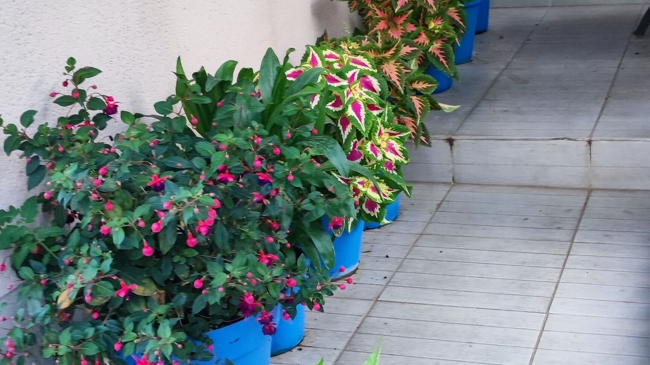 Photo of Outdoor in Bussy-Saint-Martin