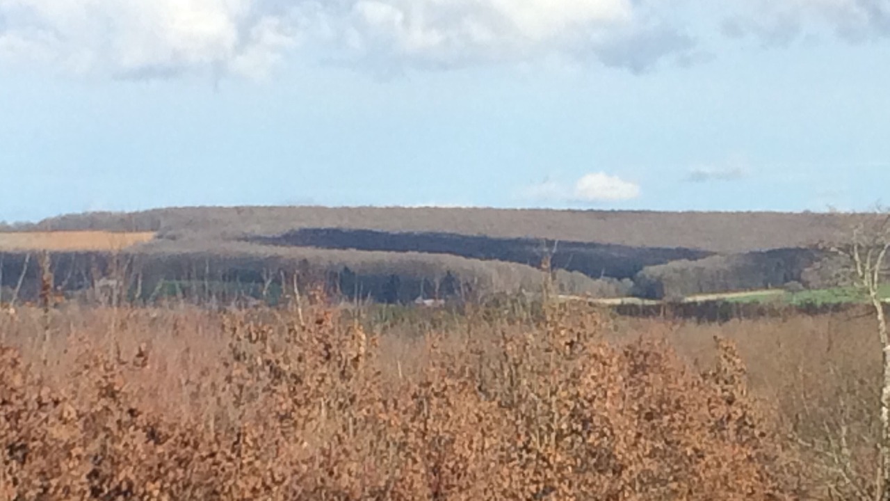Photo of Outdoor in Varennes-les-Narcy