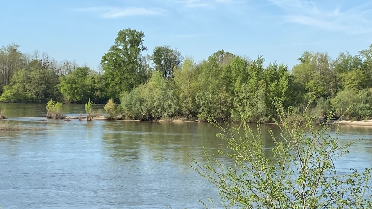 Photo of Outdoor in Varennes-les-Narcy