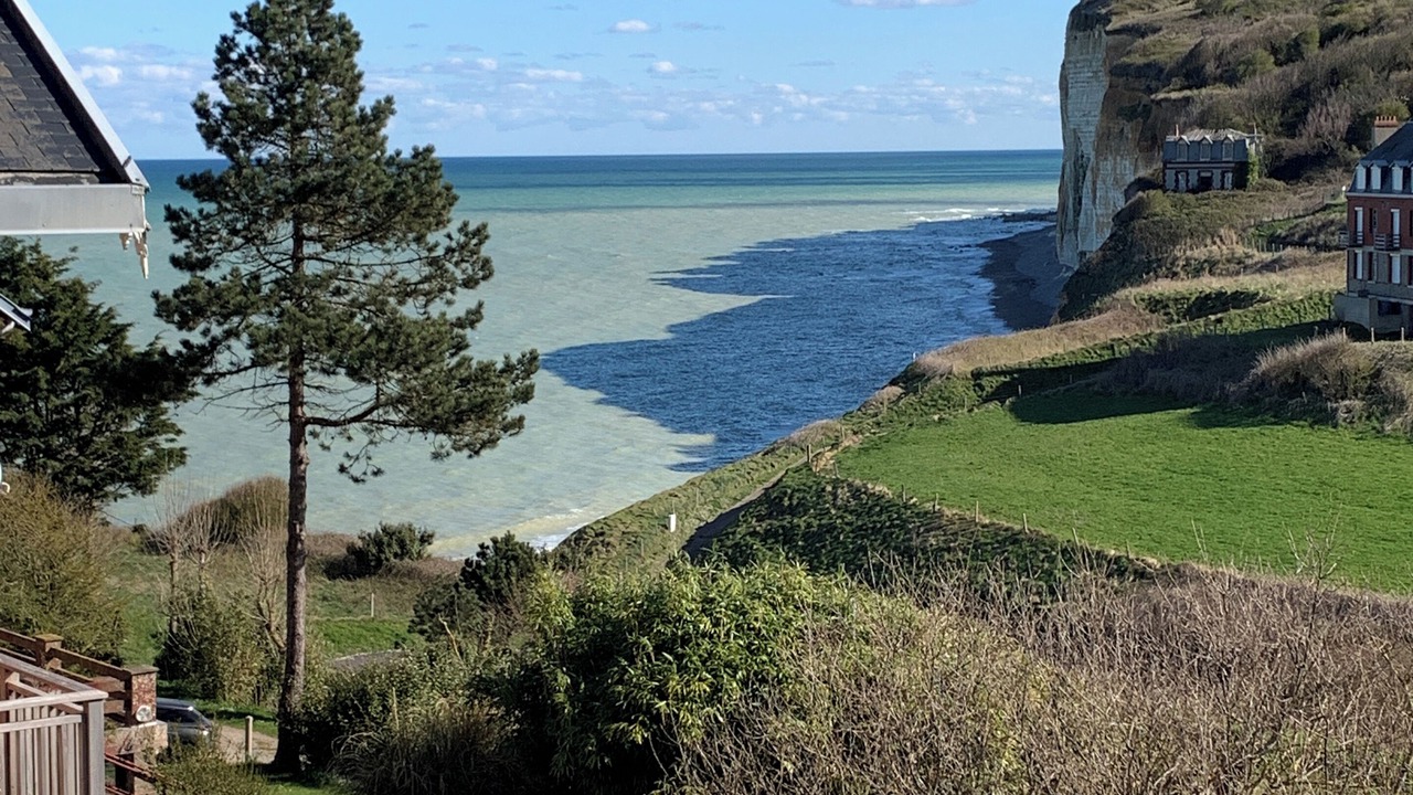 Photo of Others in Saint-Pierre-en-Port