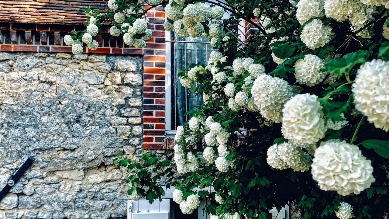 Photo of Outdoor in Lorrez-le-Bocage
