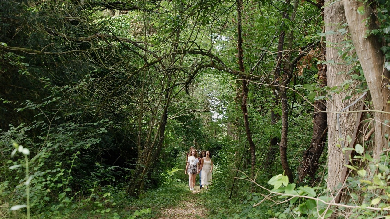 Photo of Outdoor in Villeblevin