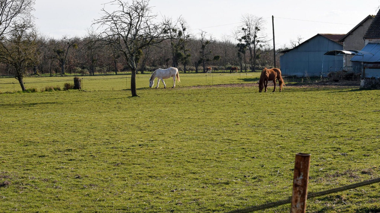 Photo of Outdoor in Briare